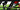 Infinity 1st Step Quickness Digital Trainer