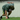 Run A Faster 40 Yard Dash - Workout