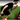 How to Increase 60 Yard Dash Times