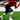 Sports Performance Training | Kbands Alley Misdirection Drill