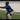 Baseball Strength & Conditioning
