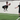 Jump For Power – Explosive Plyometric Training To Increase Running Speed