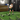 Football Agility Knee Drive Step Over