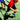 How To Increase Speed In Athletes