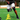 Plyometric Leg Workout | Plyometric Hurdle Drills
