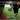 Victory Ropes Linear Doubles Conditioning Drill