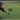Receiver Drills | Football Tactics | Agility & Footwork
