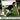RSC Motion | Overspeed and Agility Training Exercises