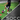 Velocity Training Soccer Videos | RSC Resisted Lateral Run And Pass