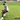High School Triangle Agility Drill - Do This On Your Off Day