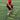 RSC Acceleration Training To Help You Sprint Faster
