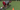 3 Cone Drill | NFL Combine Test | Football Player