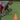 3 Cone Drill | NFL Combine Test | Football Player