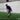 The Benefits of Reactive Stretch Core Lateral Bounds