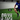 Speed Resistance Training | Fast Feet Speed Taps