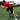 Kbands Training Victory Ropes: The Ultimate Workout Companion