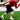 Running Training For Athletes Performance | Kbands Alley Shuffle