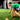 Top Speed Test Your Youth Athlete Should Be Doing