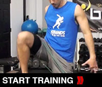 Biceps Quads and Core