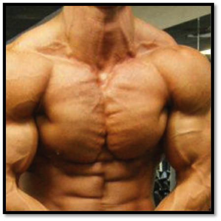 Chest Workouts