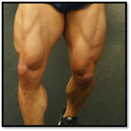 Leg Workouts