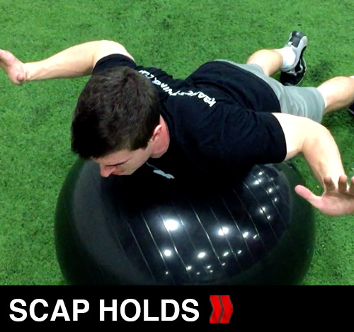 Scap Holds